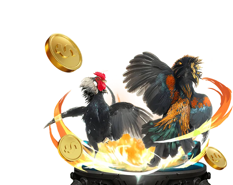 Quá trình phát triển của kuwin 15