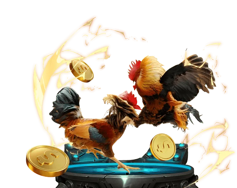 Các chương trình khuyến mãi hấp dẫn từ kuwin 15